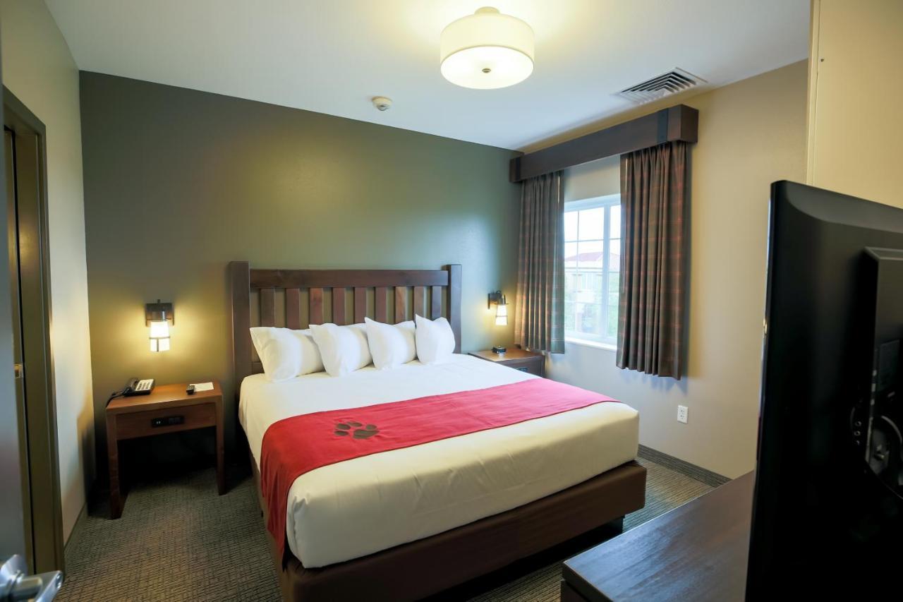 Great Wolf Lodge Chicago/Gurnee Rum bild
