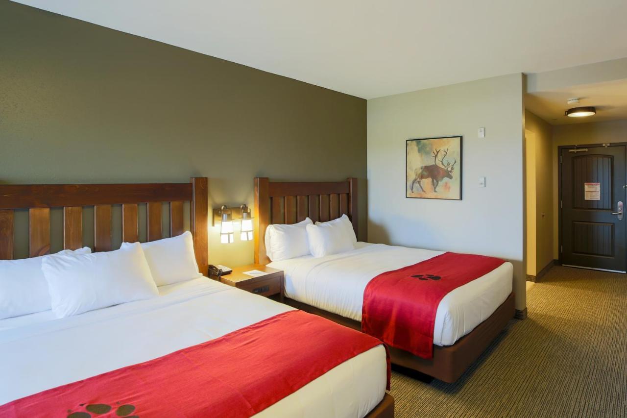 Great Wolf Lodge Chicago/Gurnee Rum bild