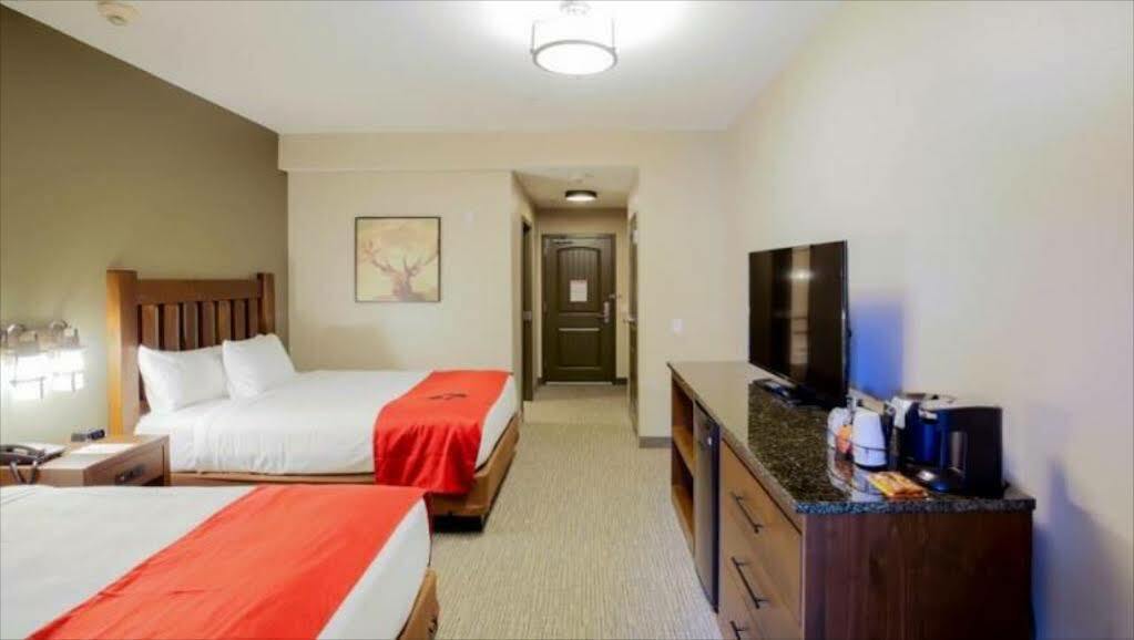 Great Wolf Lodge Chicago/Gurnee Exteriör bild